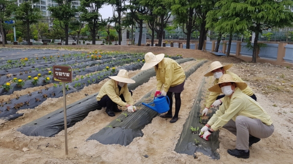 청렴텃밭 조성.jpg